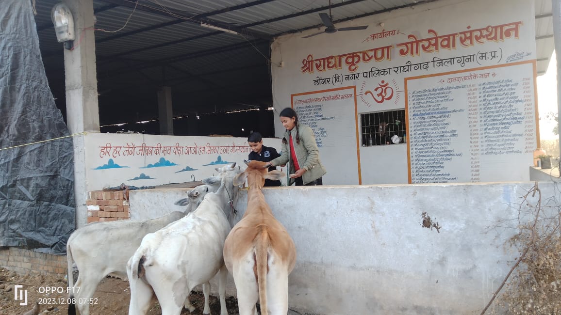 गौशाला 23